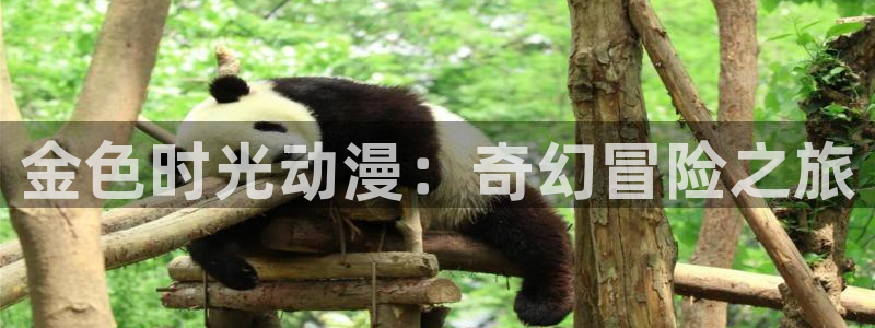 动漫天堂官方正版下载：金色时光动漫：奇幻冒险之旅