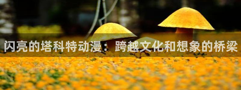 h动漫天堂：闪亮的塔科特动漫：跨越文化和想象的桥梁