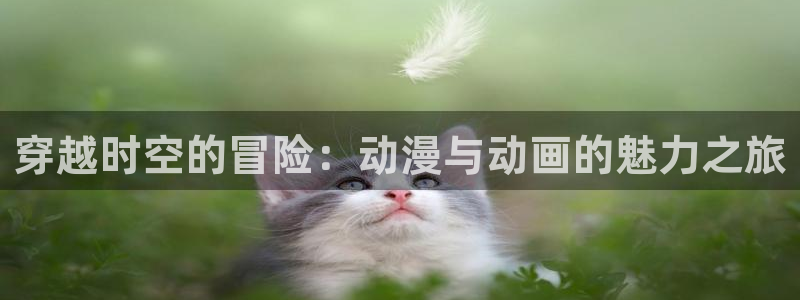 动漫天堂在线观看：穿越时空的冒险：动漫与动画的魅力之旅