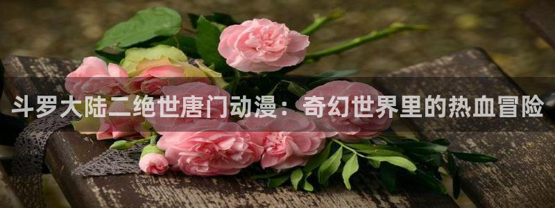 动漫天堂在线看：斗罗大陆二绝世唐门动漫：奇幻世界里的热血冒险