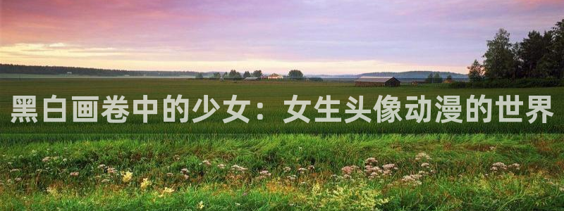 动漫天堂电影：黑白画卷中的少女：女生头像动漫的世界