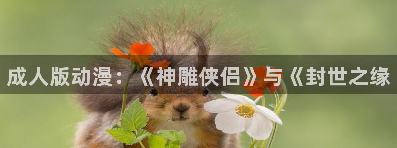 亚洲动漫天堂：成人版动漫：《神雕侠侣》与《封世之缘