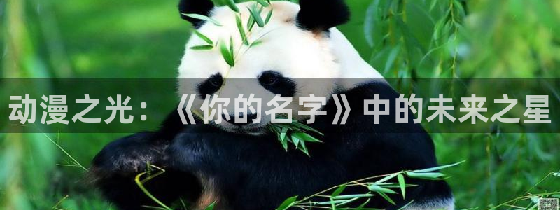 3d动漫天堂网：动漫之光：《你的名字》中的未来之星