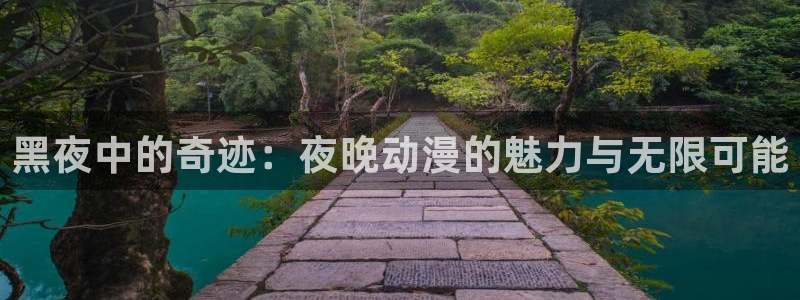 动漫天堂91：黑夜中的奇迹：夜晚动漫的魅力与无限可能