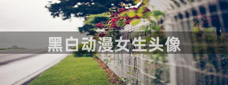 动漫天堂下载官方：黑白动漫女生头像