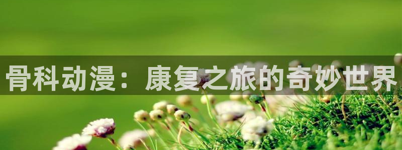 动漫天堂cc：骨科动漫：康复之旅的奇妙世界