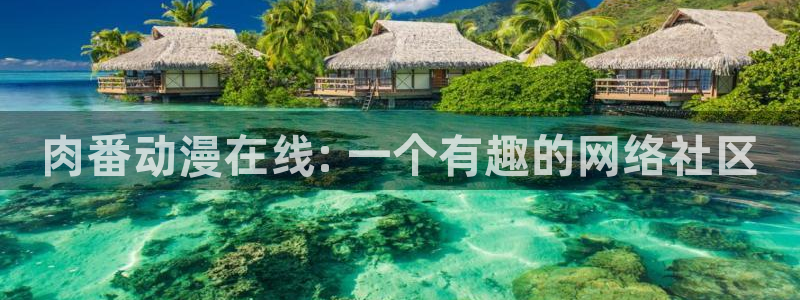 动漫天堂免费观看：肉番动漫在线: 一个有趣的网络社区