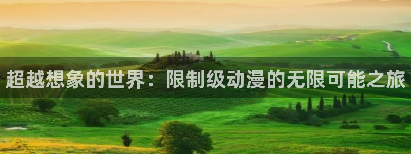动漫天堂下载安装最新版：超越想象的世界：限制级动漫的无限可能之旅