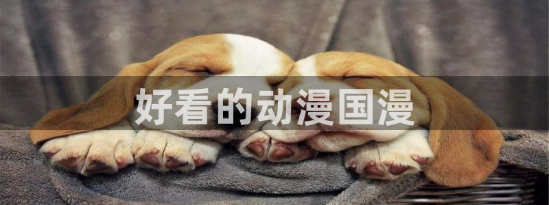 动漫天堂在线看：好看的动漫国漫
