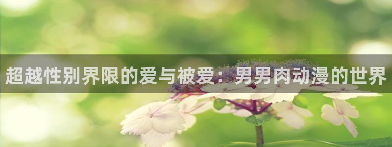原神禁动漫天堂：超越性别界限的爱与被爱：男男肉动漫的世界